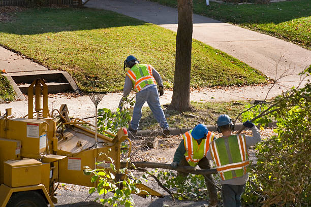 Best Artificial Turf Installation  in Highland Beach, FL